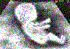 -=Gt-four=-'s Avatar