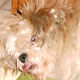 don't_slow_me_down's Avatar