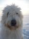 benzfuzzy's Avatar