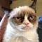 Grumpy's Avatar