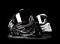 fanu_WZI's Avatar