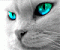 seip's Avatar